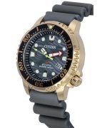 Citizen Promaster Grey Dial Eco-Drive Diver's BN0163-00H 200M Men's Watch