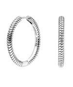 Pandora Moments Charm Hoop Earrings 299532C00 For Women